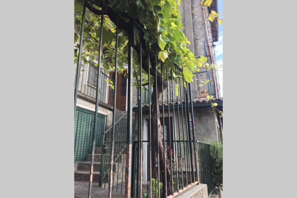 Nel Set Di Piccolo Mondo Antico Villa Viola Valsolda Bagian luar foto